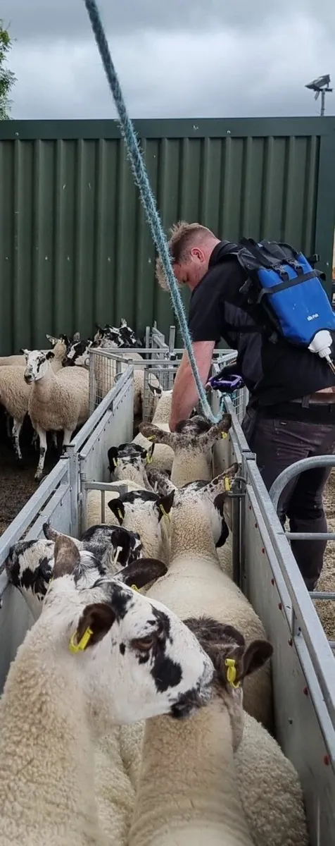 SheepWell Doser Back Pack - OFFER - Image 2