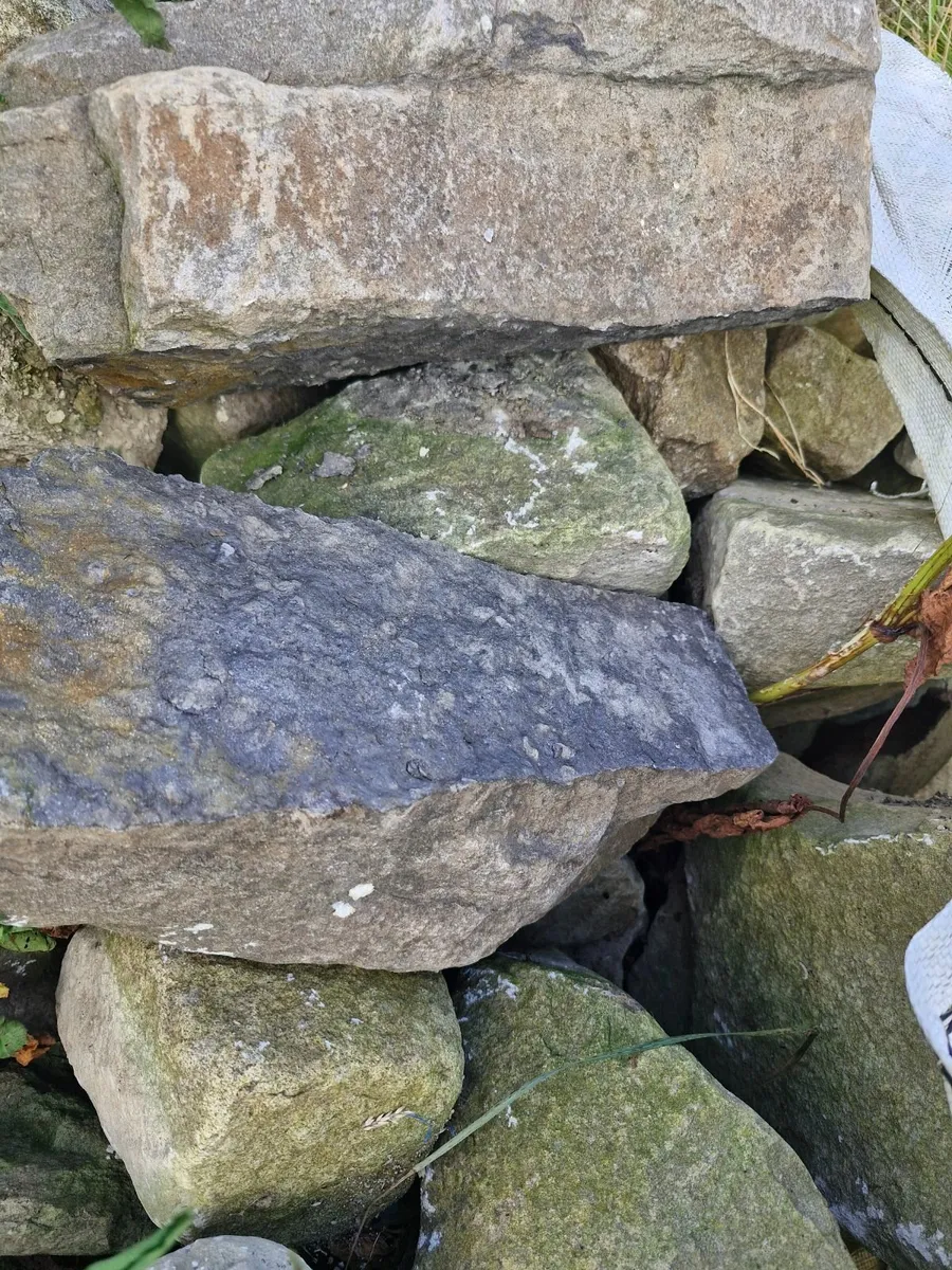 Building Donegal Slate and Sandstone - Image 2