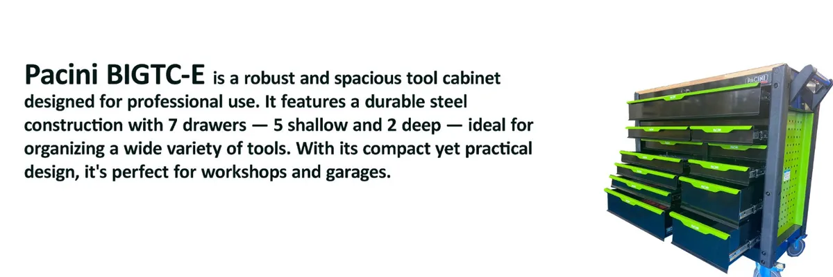 PACINI 12 Drawer Tool Chest On ( Without Tools) - Image 2