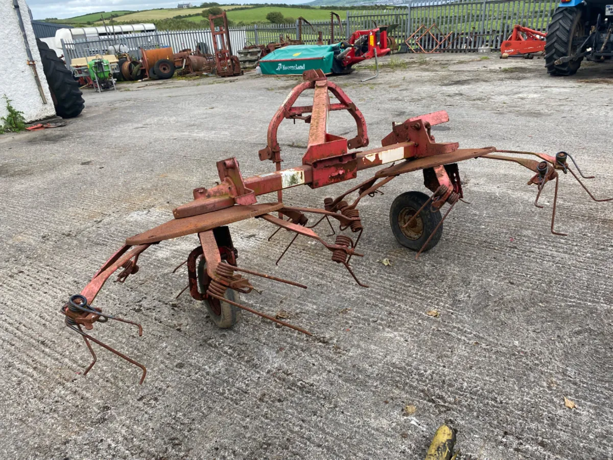 Lelly Lou’s 300 - Image 2