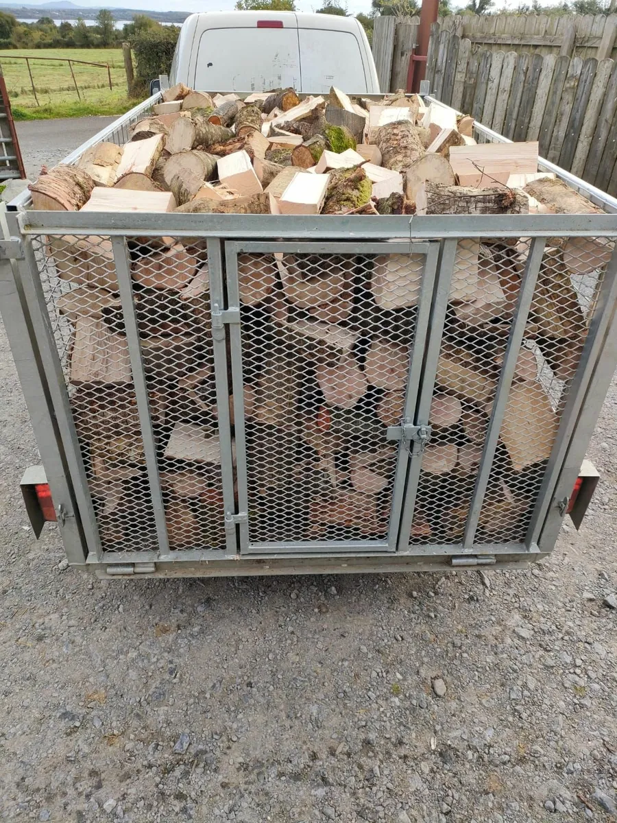 Firewood - Image 1