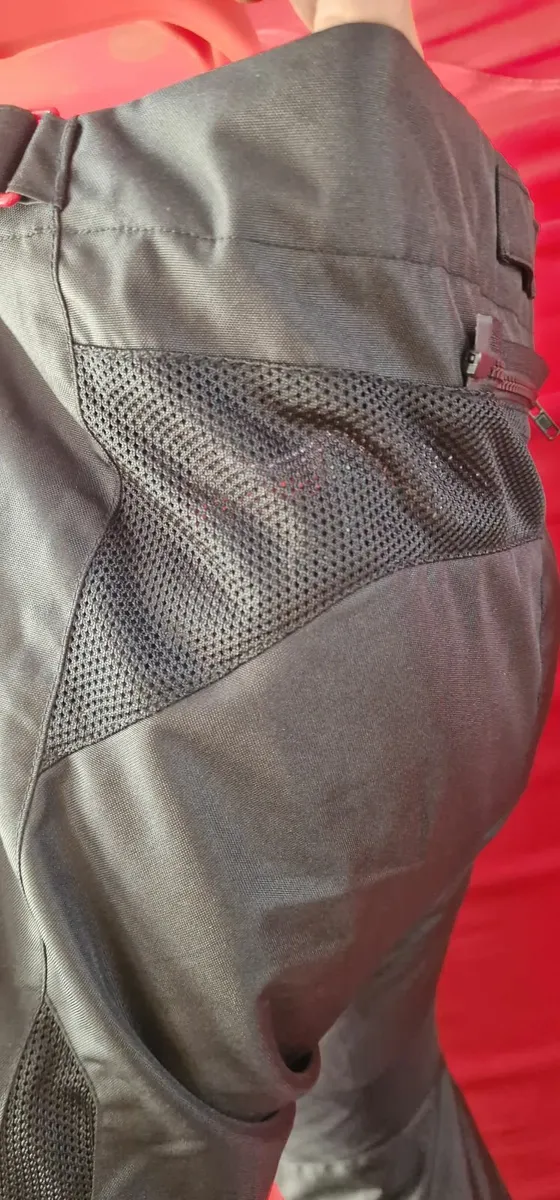 Clover Mesh Pants also K1600 Gt - Image 3