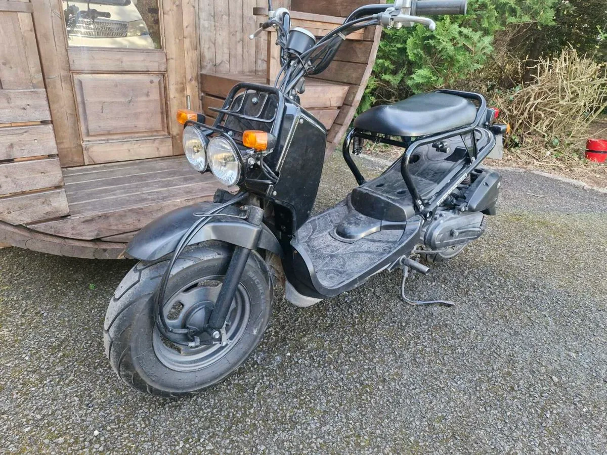 Honda zoomer - Image 2