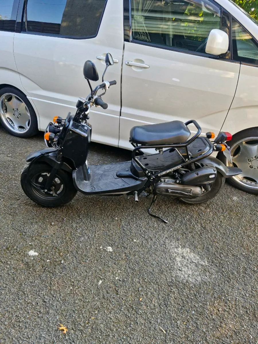 Honda zoomer - Image 3