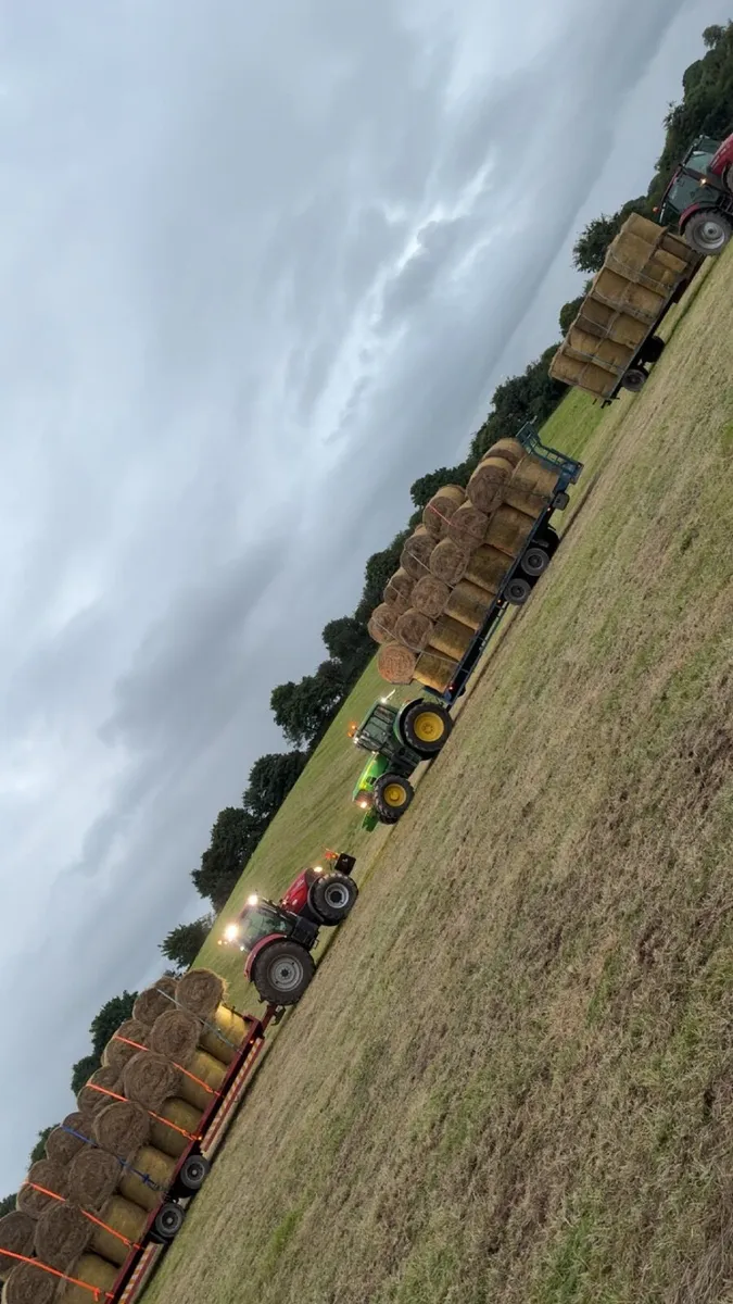 Round bales of hay - Image 1