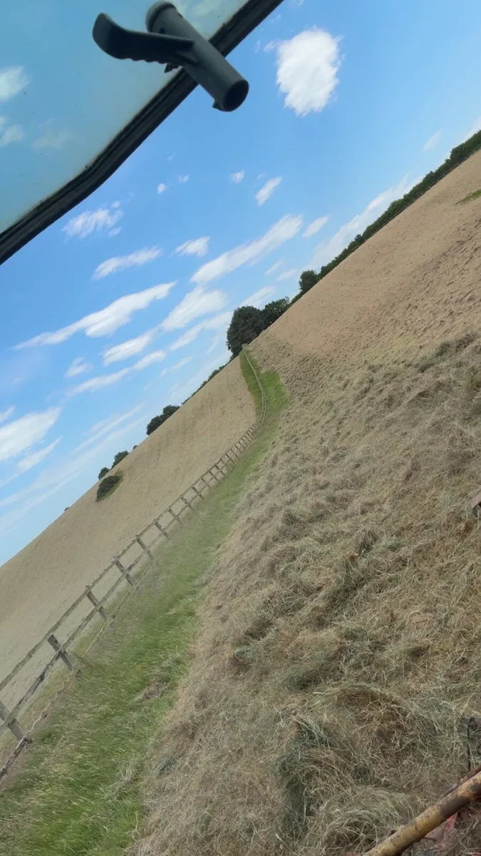 Round bales of hay - Image 2