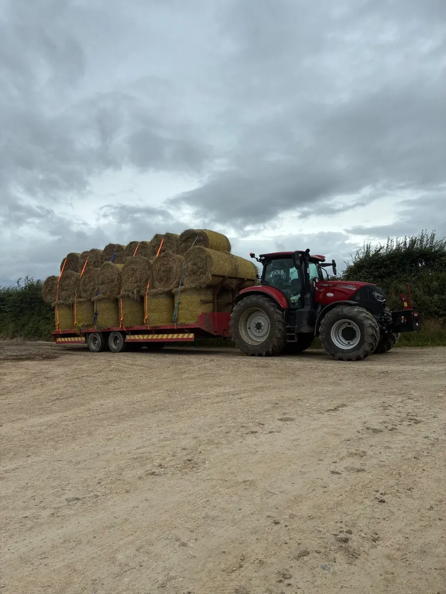 Round bales of hay - Image 3