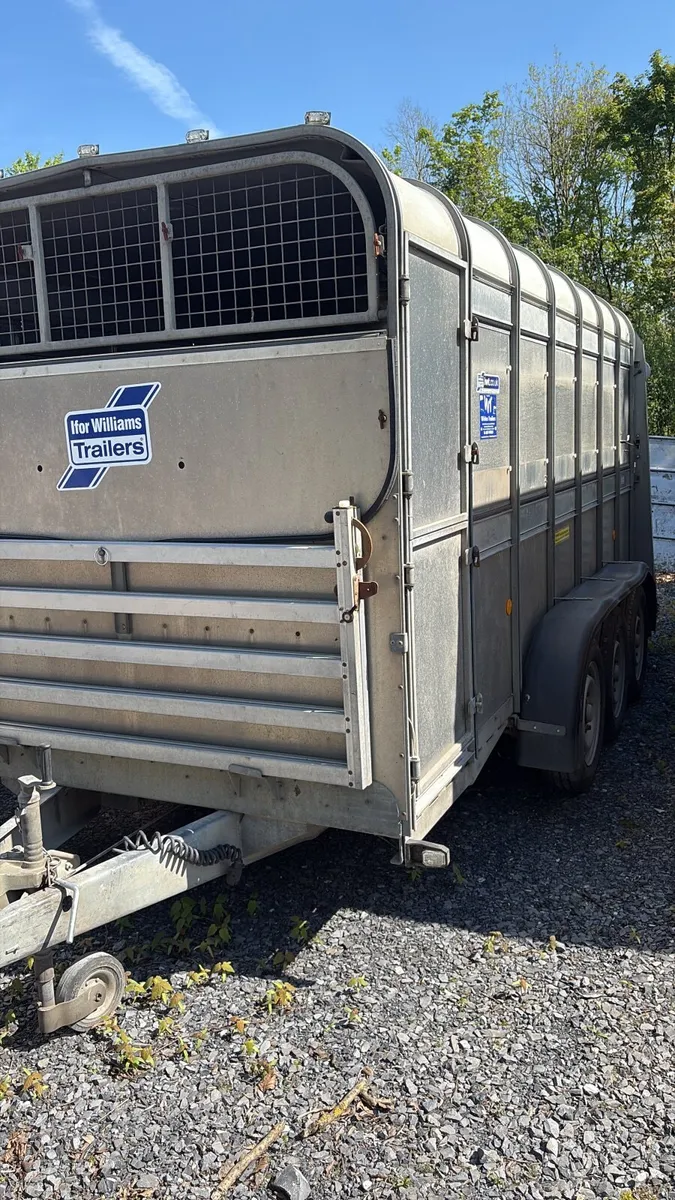 IFOR WILLIAMS - Image 2