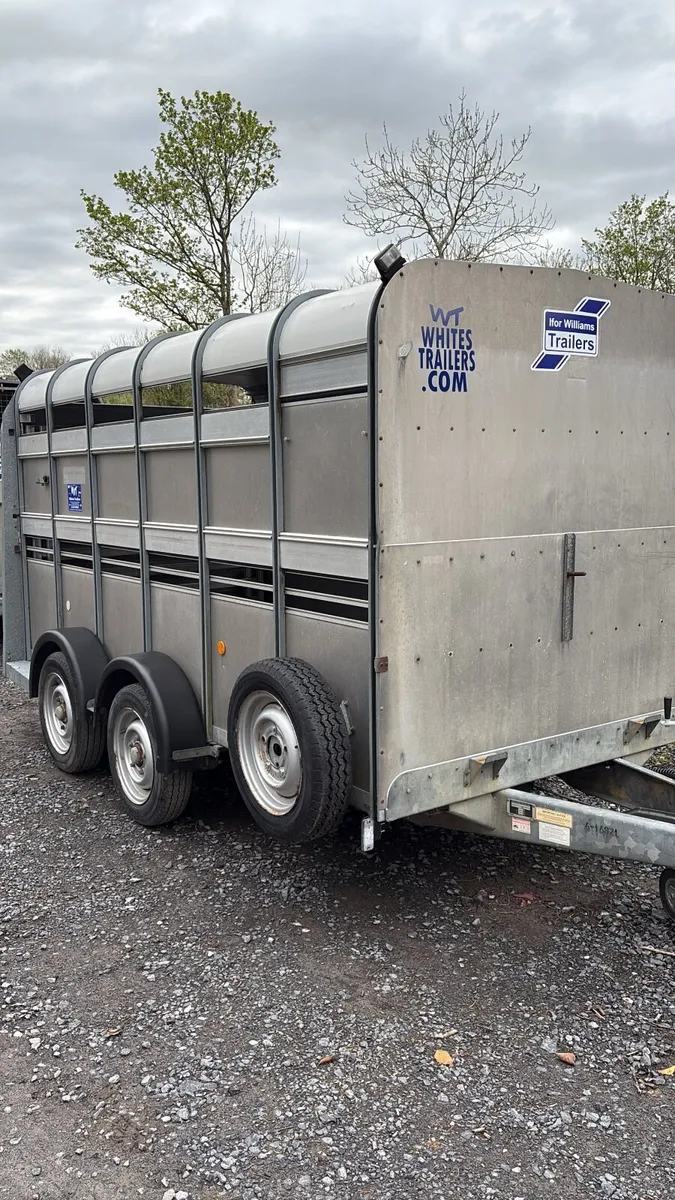 IFOR WILLIAMS - Image 3