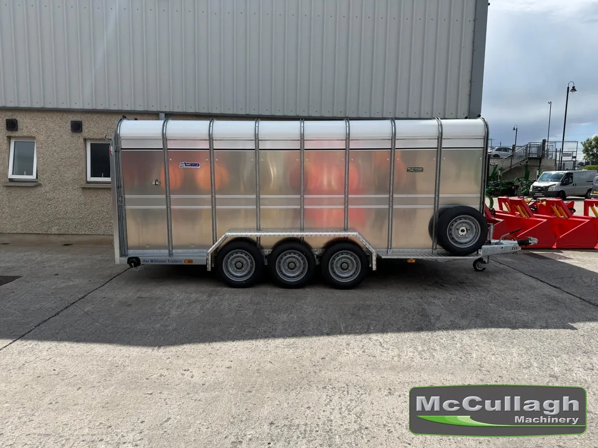New Ifor Williams TA510 16ft Tri-Axle Cattle Trail - Image 2
