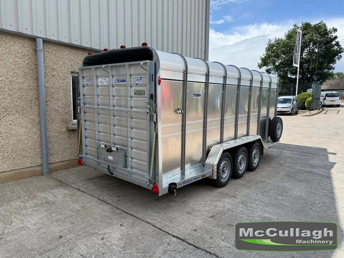 New Ifor Williams TA510 16ft Tri-Axle Cattle Trail - Image 3