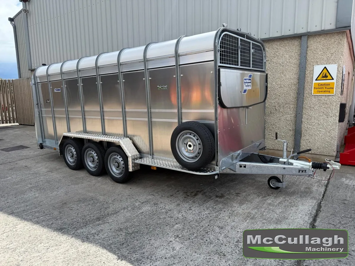 New Ifor Williams TA510 16ft Tri-Axle Cattle Trail - Image 1