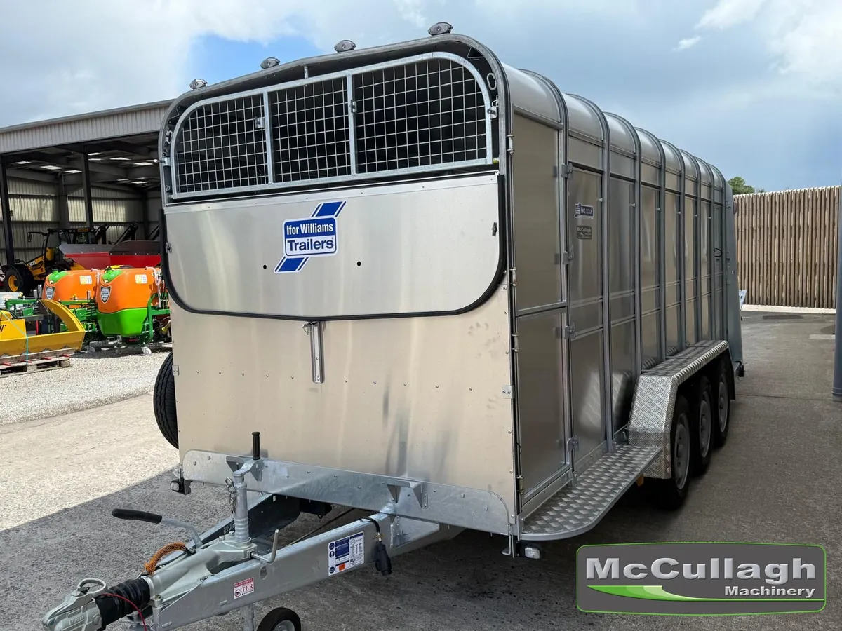 New Ifor Williams TA510 16ft Tri-Axle Cattle Trail - Image 4