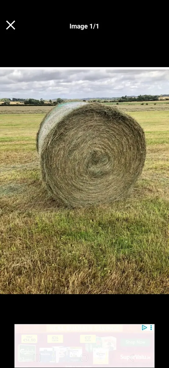 HAY FOR SALE ABBEYLEIX CO LAOIS BALED 10TH JULY