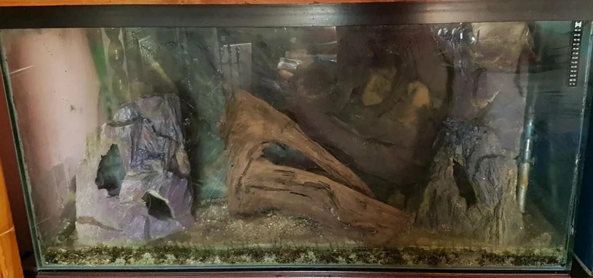 Fish tanks - Image 1