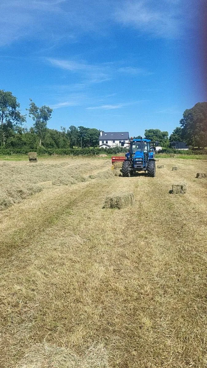 Square bales hay - Image 4
