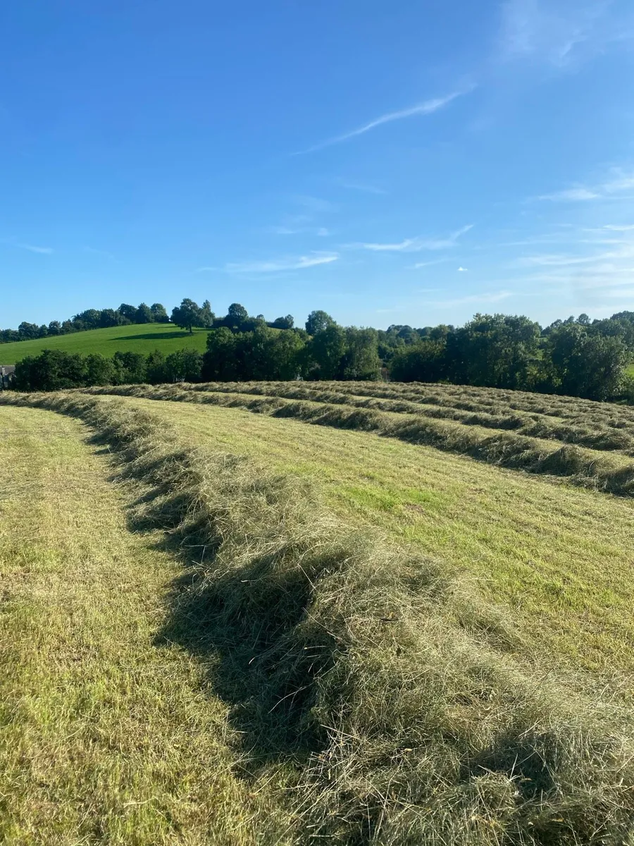Haylage & Silage - Image 2