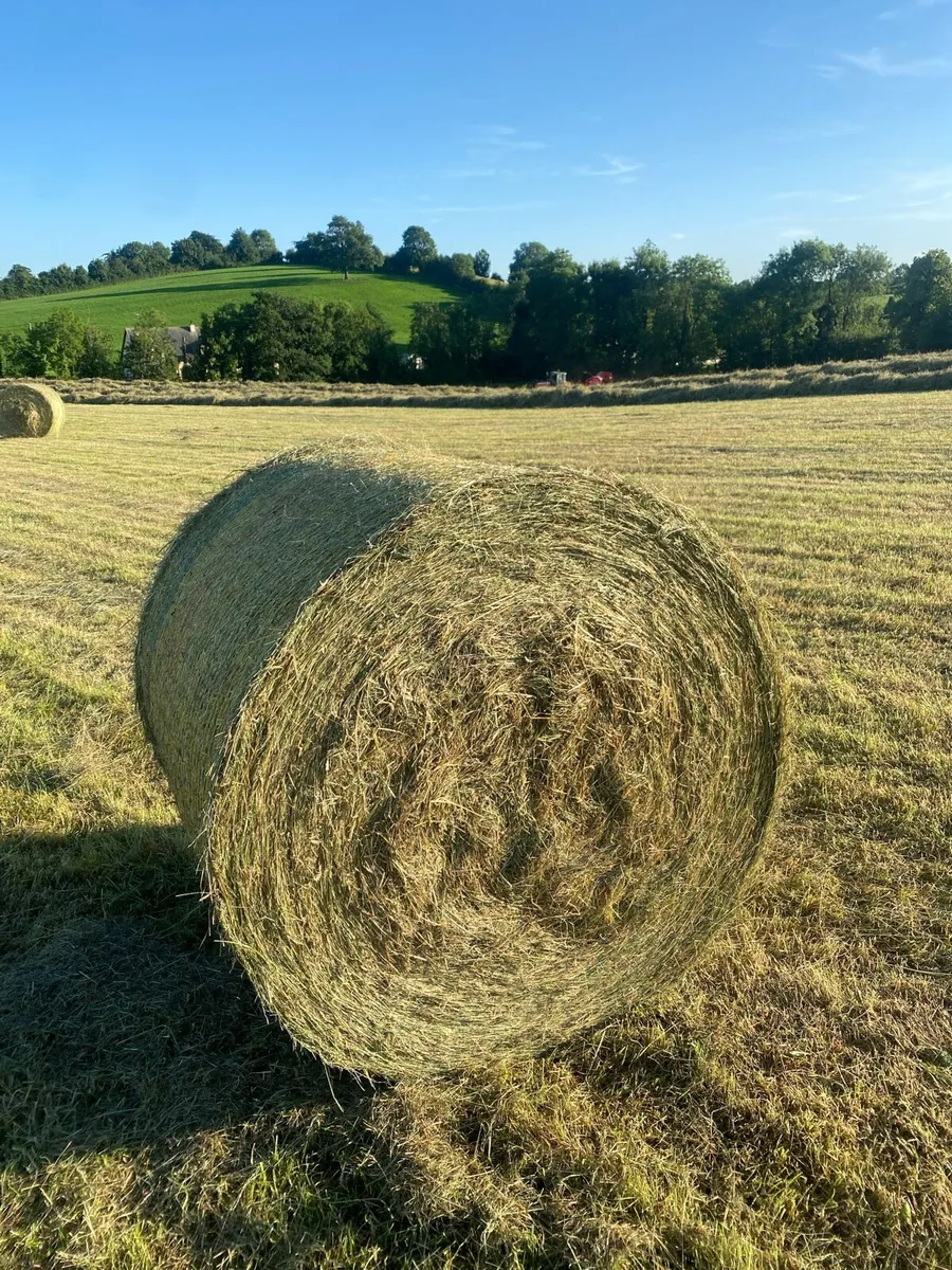 Haylage & Silage - Image 1