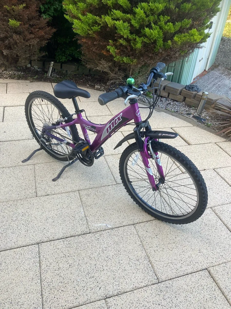 Giant MTX 250 child’s bike - Image 1