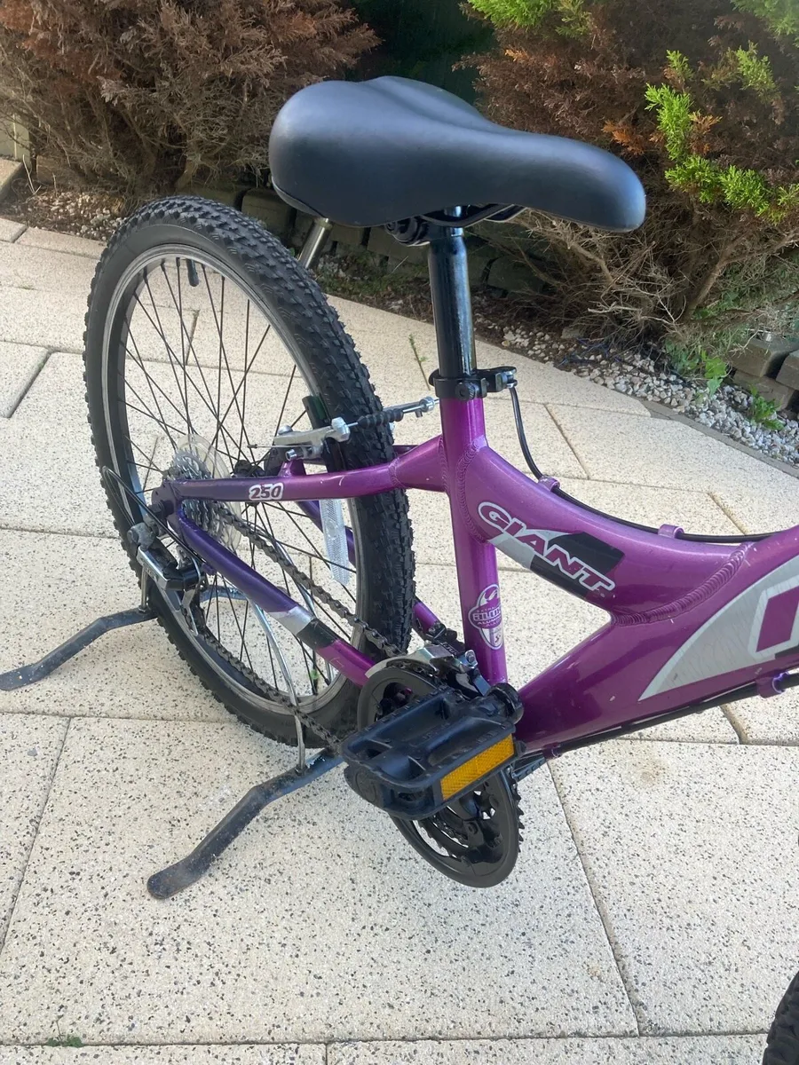 Giant MTX 250 child’s bike - Image 3