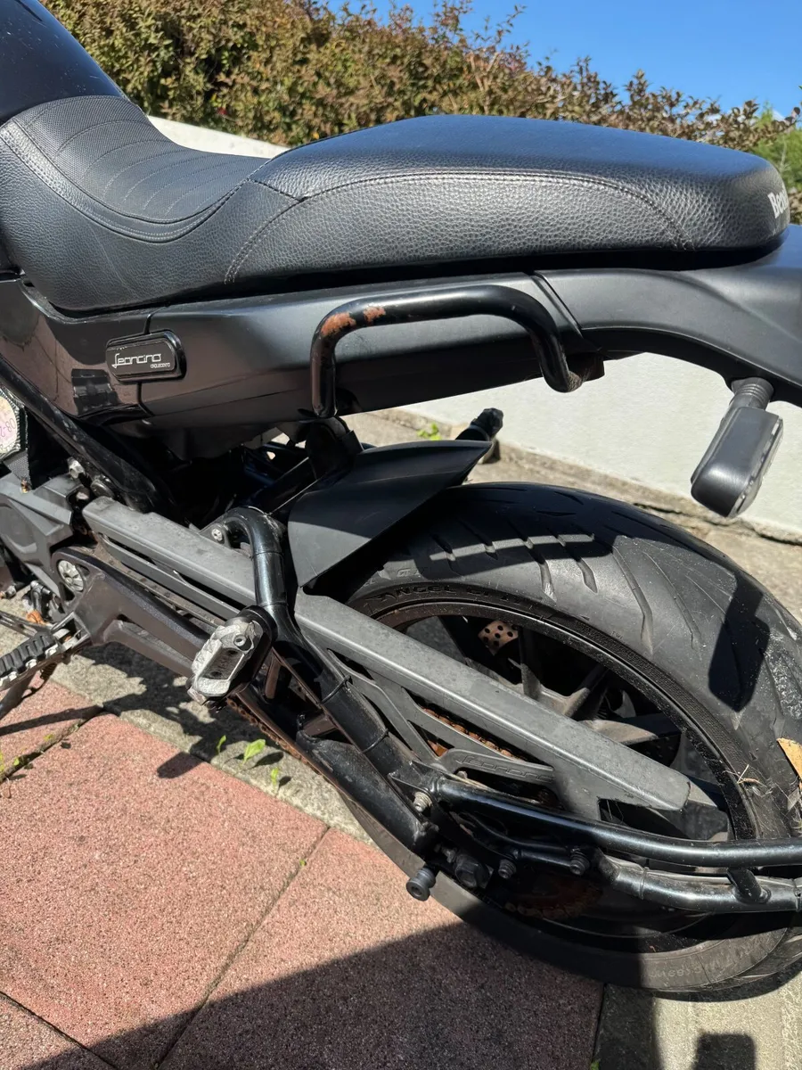 BENELLI Other 2019 - Image 3