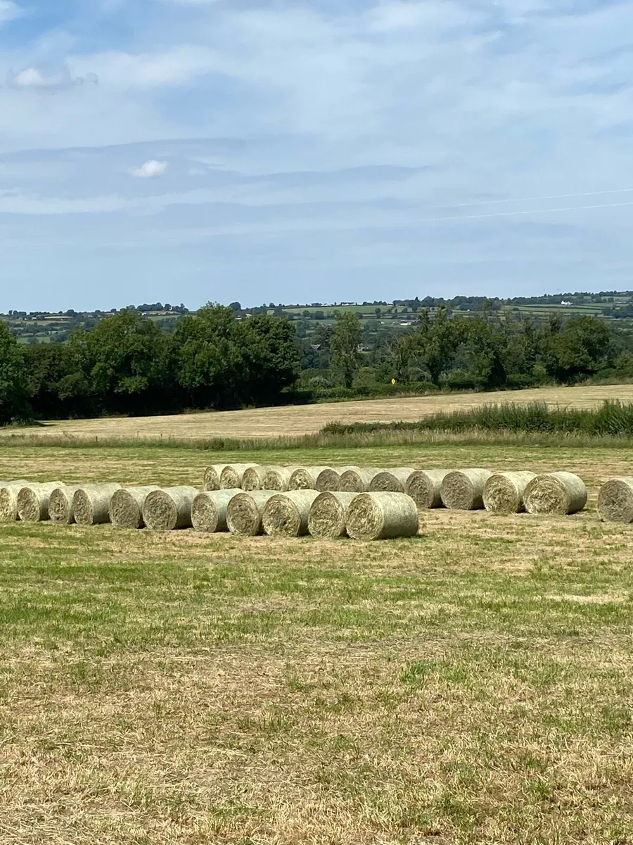 Hay/Haylage/Silage - Image 1