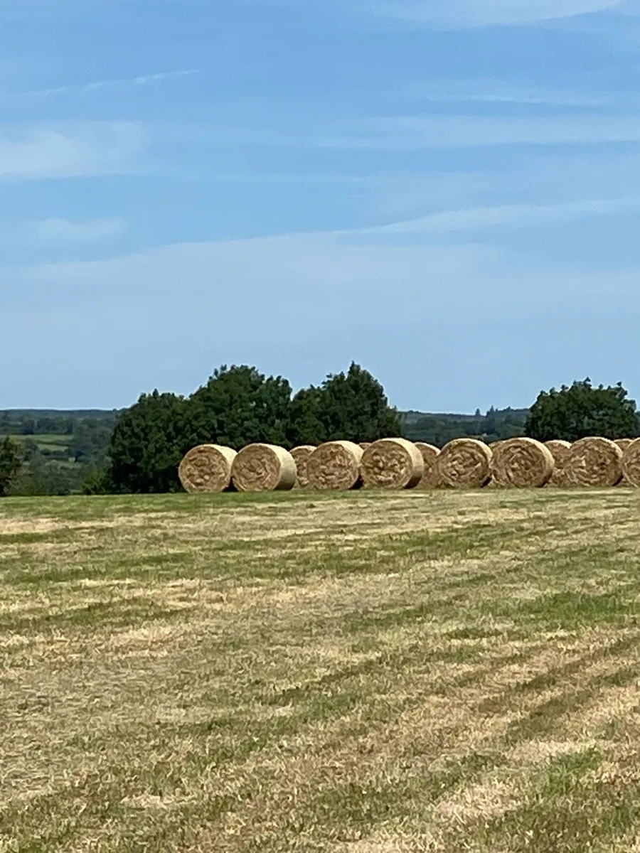 Hay/Haylage/Silage - Image 2