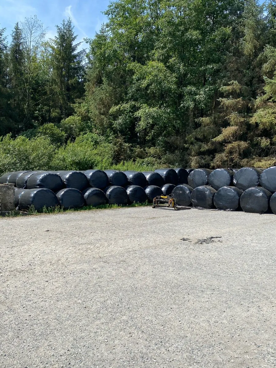 Hay/Haylage/Silage - Image 4