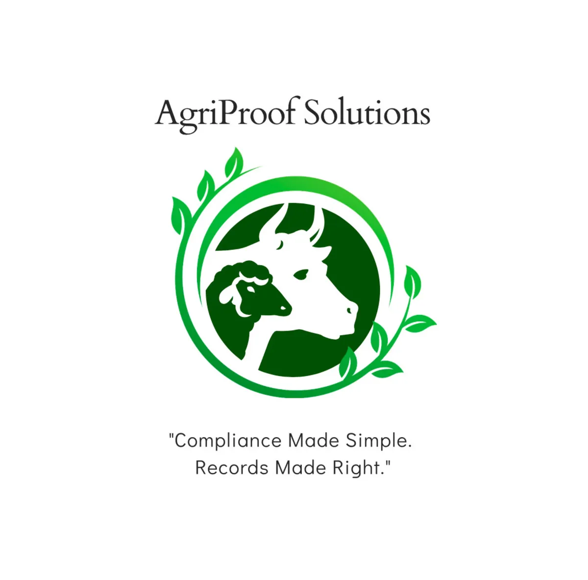 Bord Bia preparation & General farm paperwork - Image 4