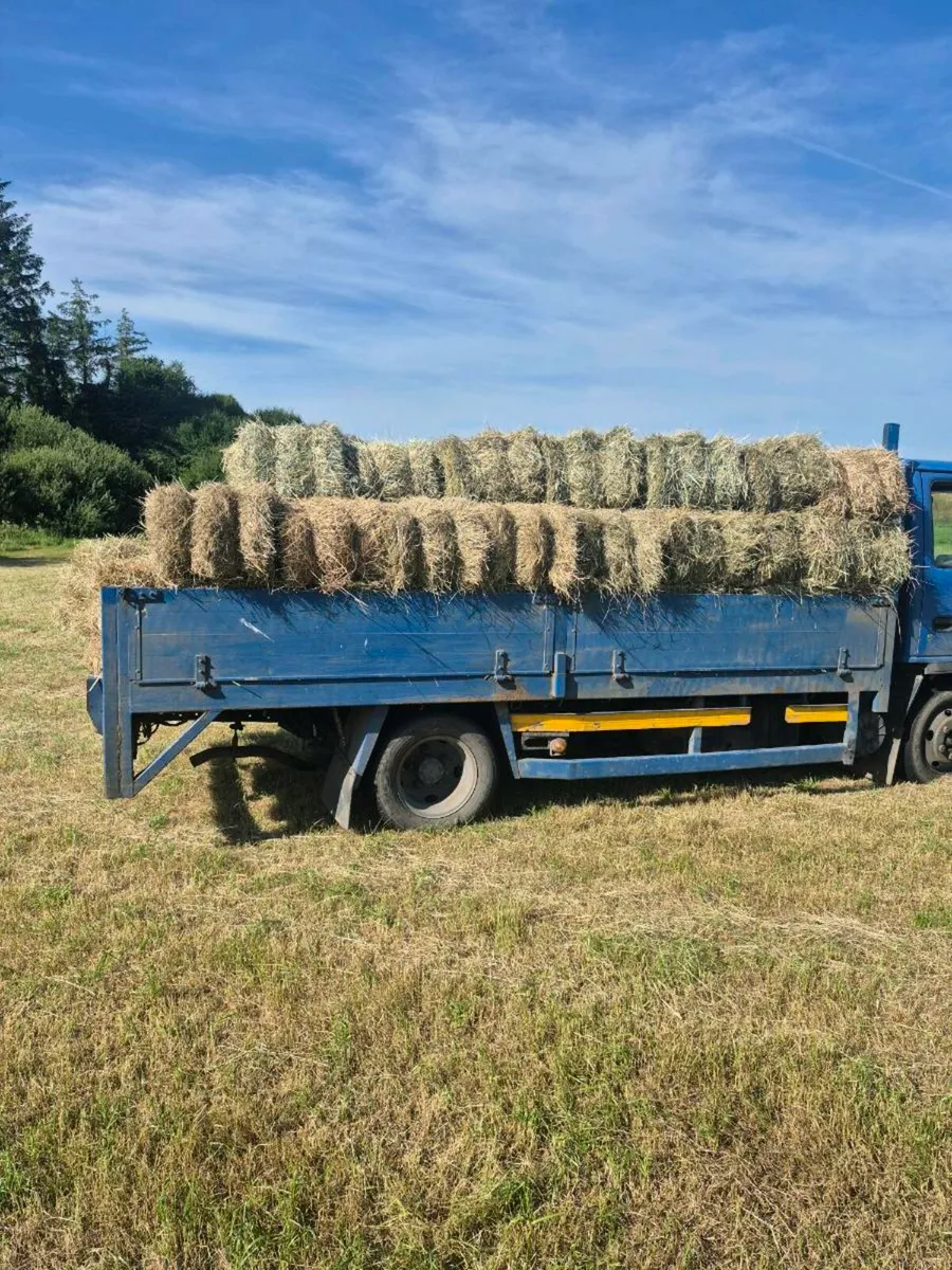 Square bales hay & golden barley straw - Image 3