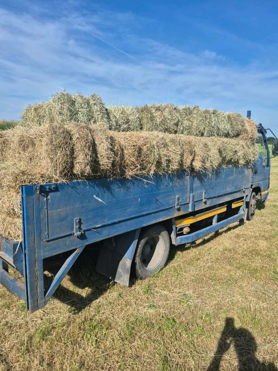 Square bales hay & golden barley straw - Image 2
