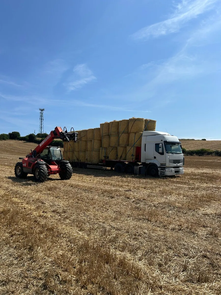 Round bales of barley straw - Image 3