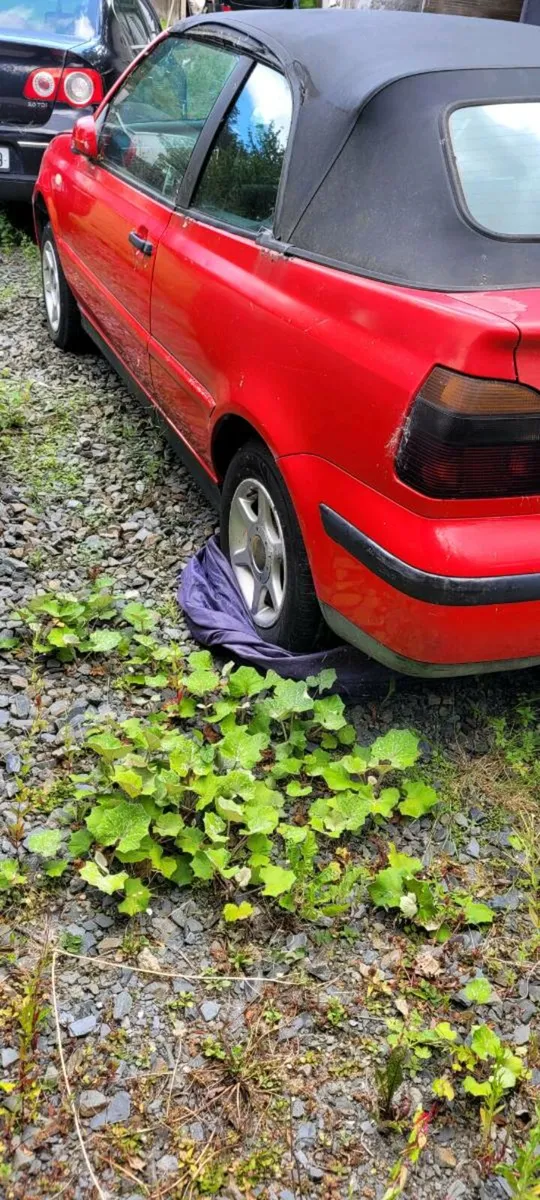 Vw golf convertible Vw passat - Image 2