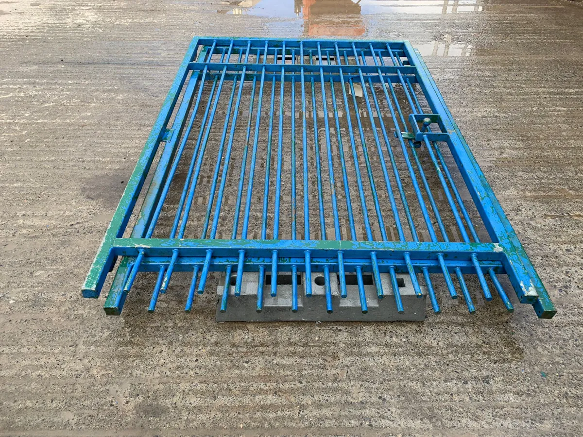 10 ft x 8 ft iron gates - Image 4
