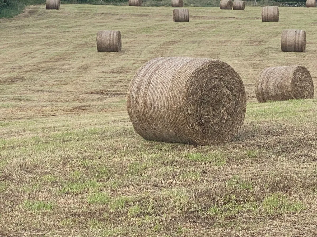 Hay Bales - Image 2