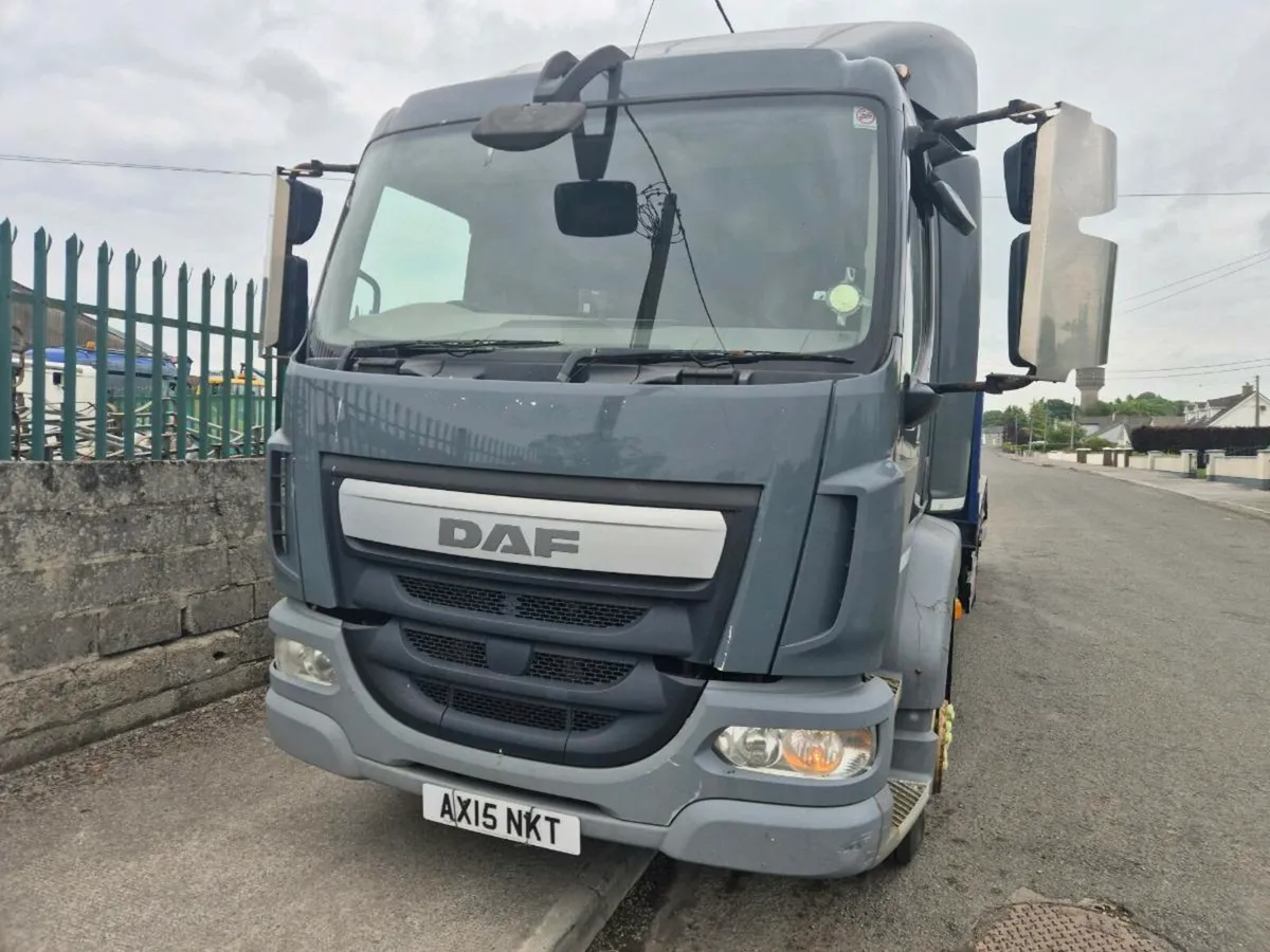Daf 15 tone bevertail - Image 3