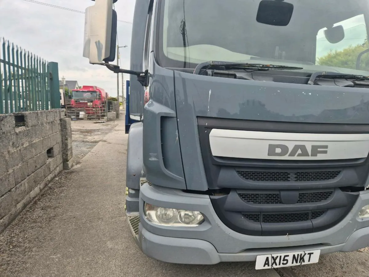Daf 15 tone bevertail - Image 2