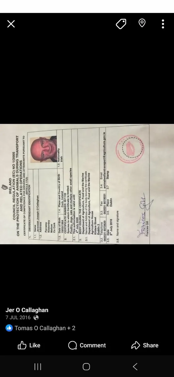 Poultry and small animal transport - Image 3