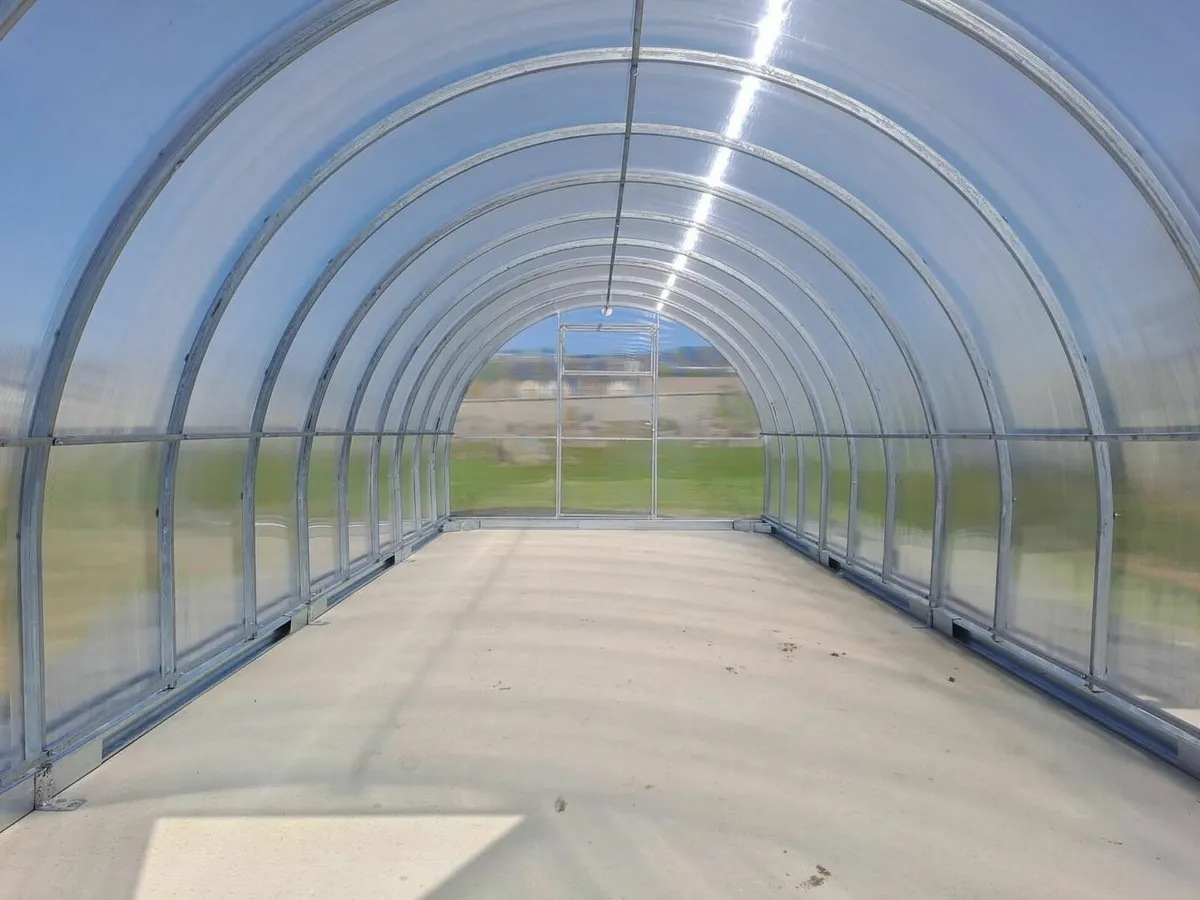 Greenhouse's - Image 4