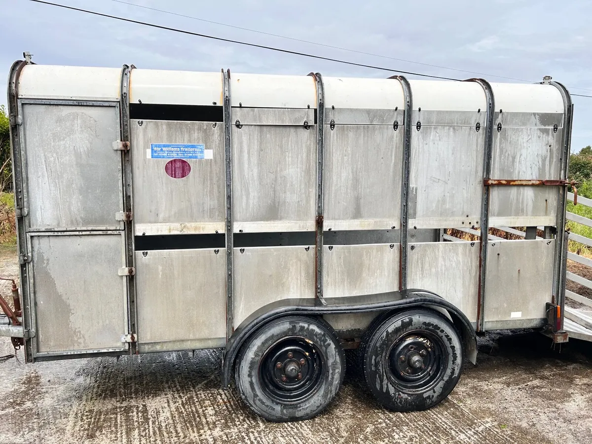 Cattle trailer - Image 2