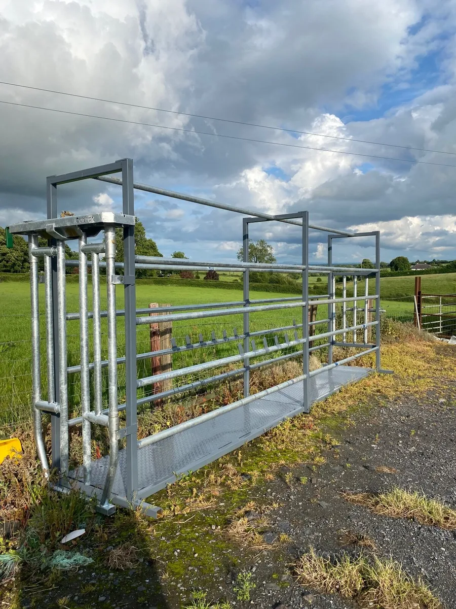 Portable cattle crush - Image 1