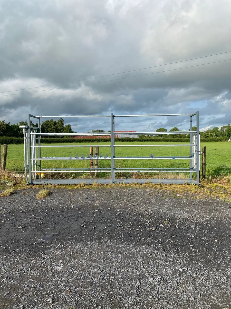 Portable cattle crush - Image 2