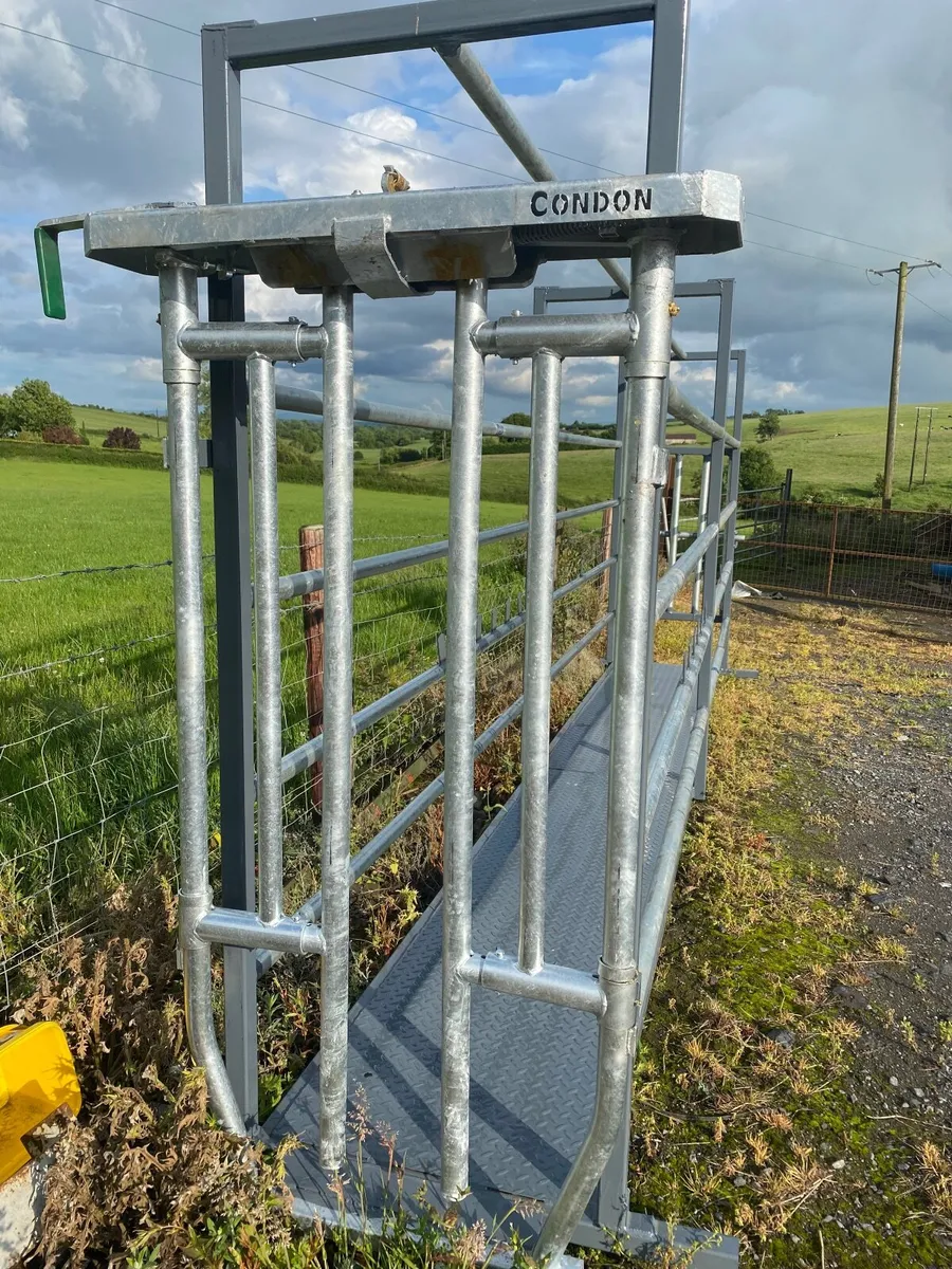 Portable cattle crush - Image 3