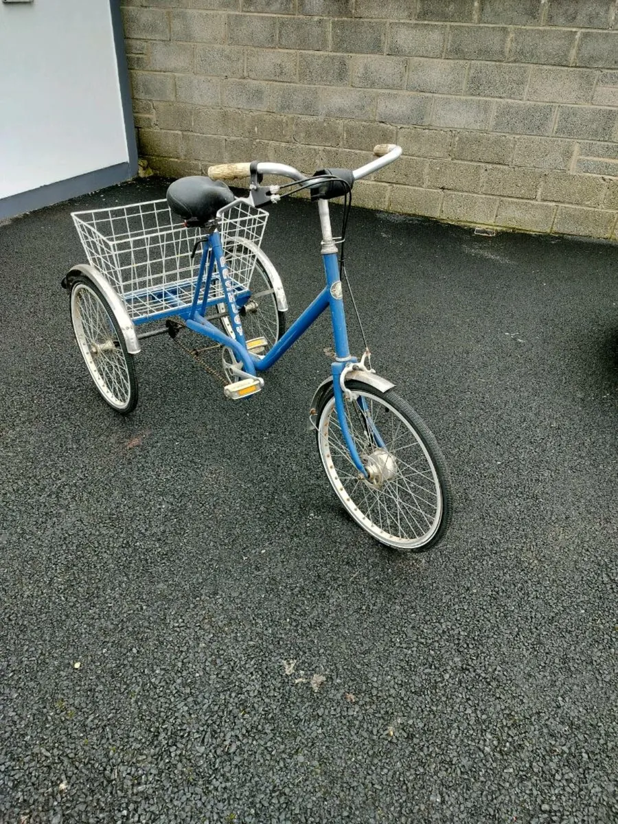 Tricycle pashley princess services new tyres - Image 2
