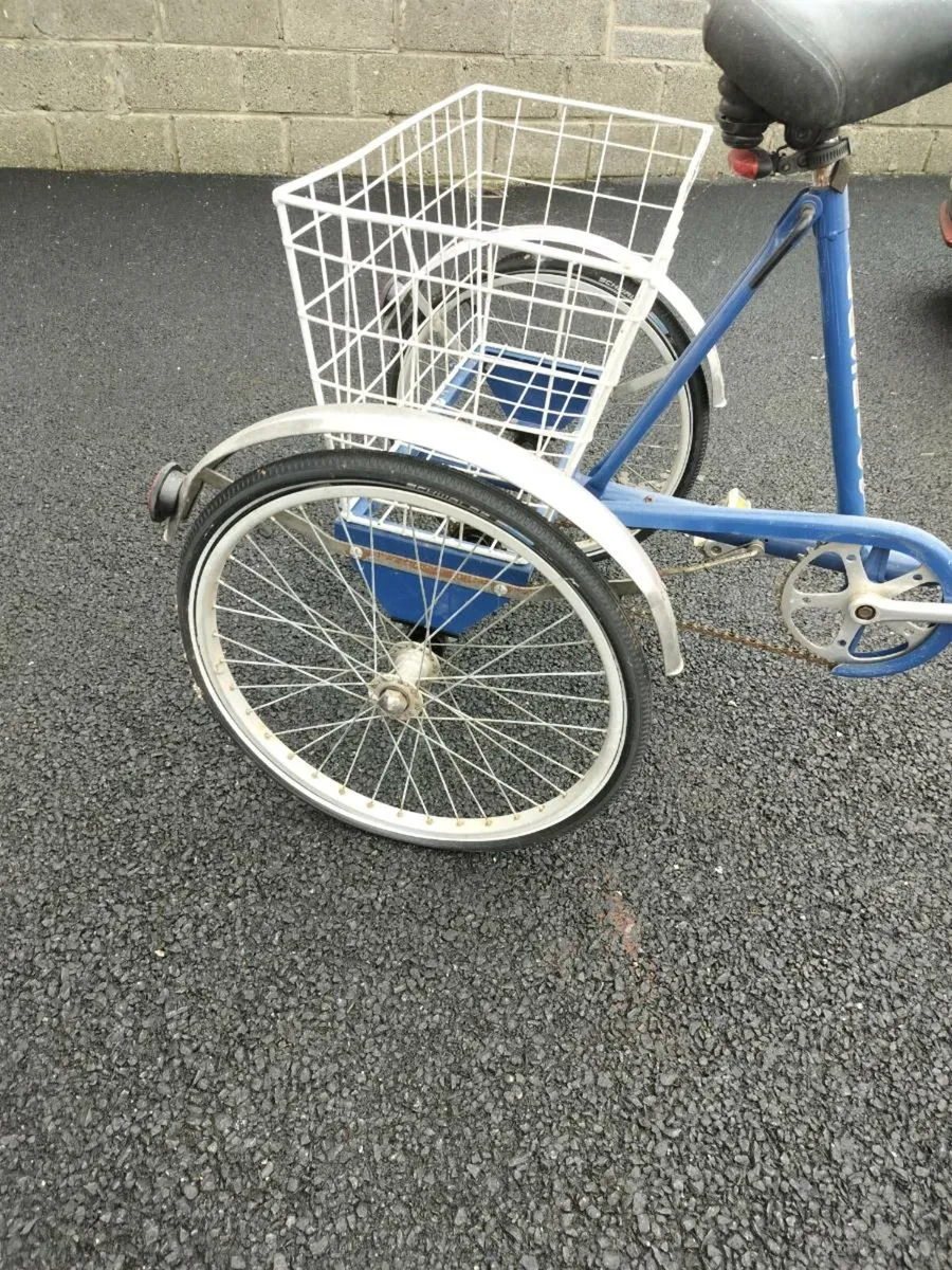 Tricycle pashley princess services new tyres - Image 3