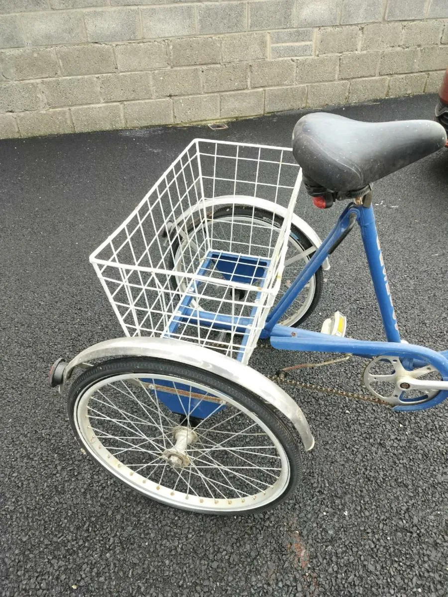 Tricycle pashley princess services new tyres - Image 4