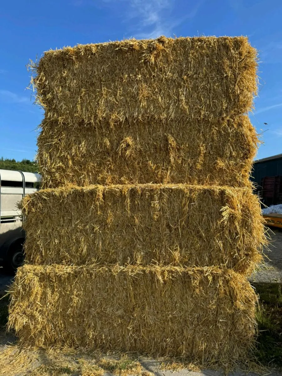 Top quality straw - Image 1
