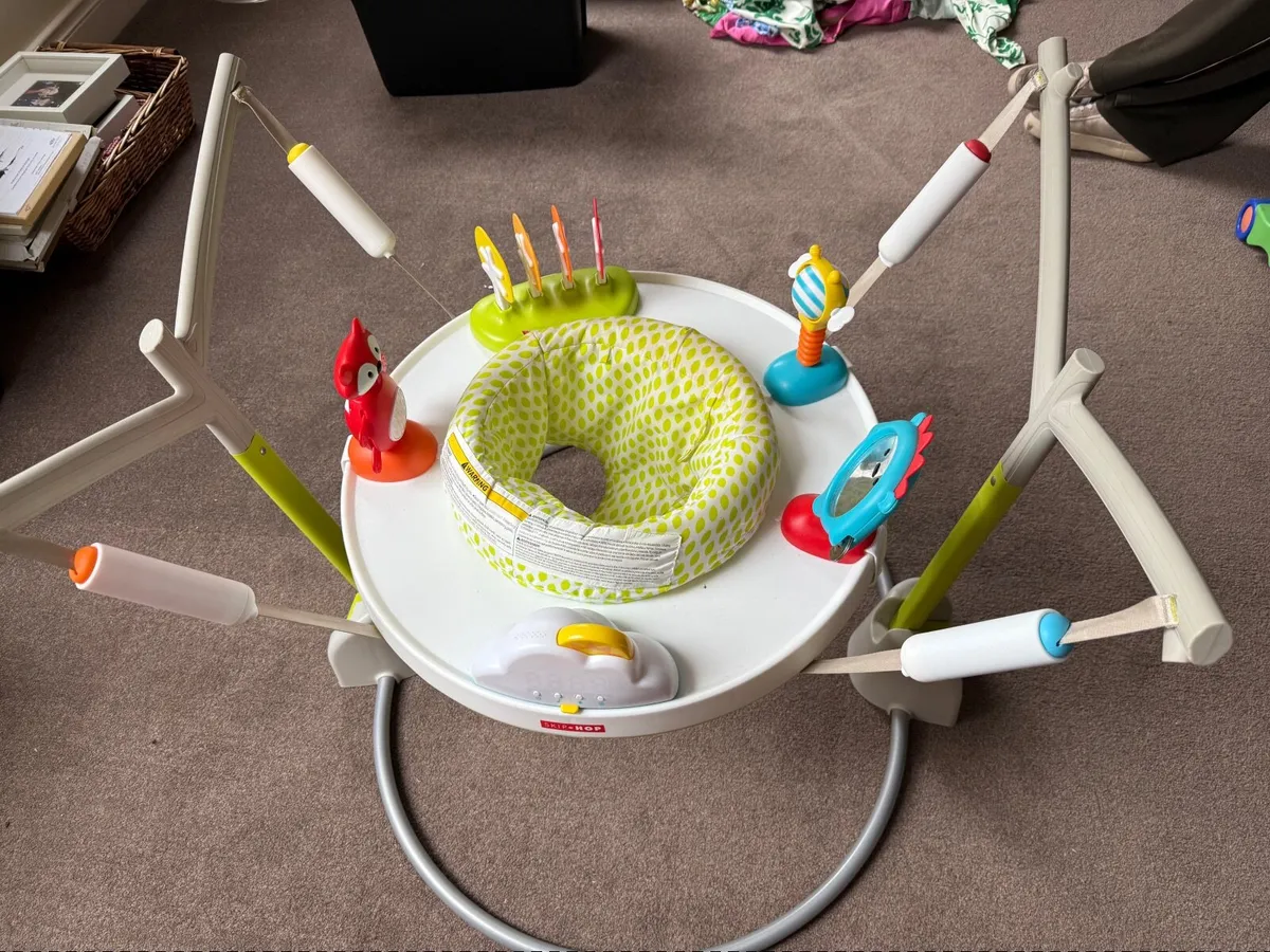 Skip Hop Bouncer “Activity Jumpscape” - Image 1