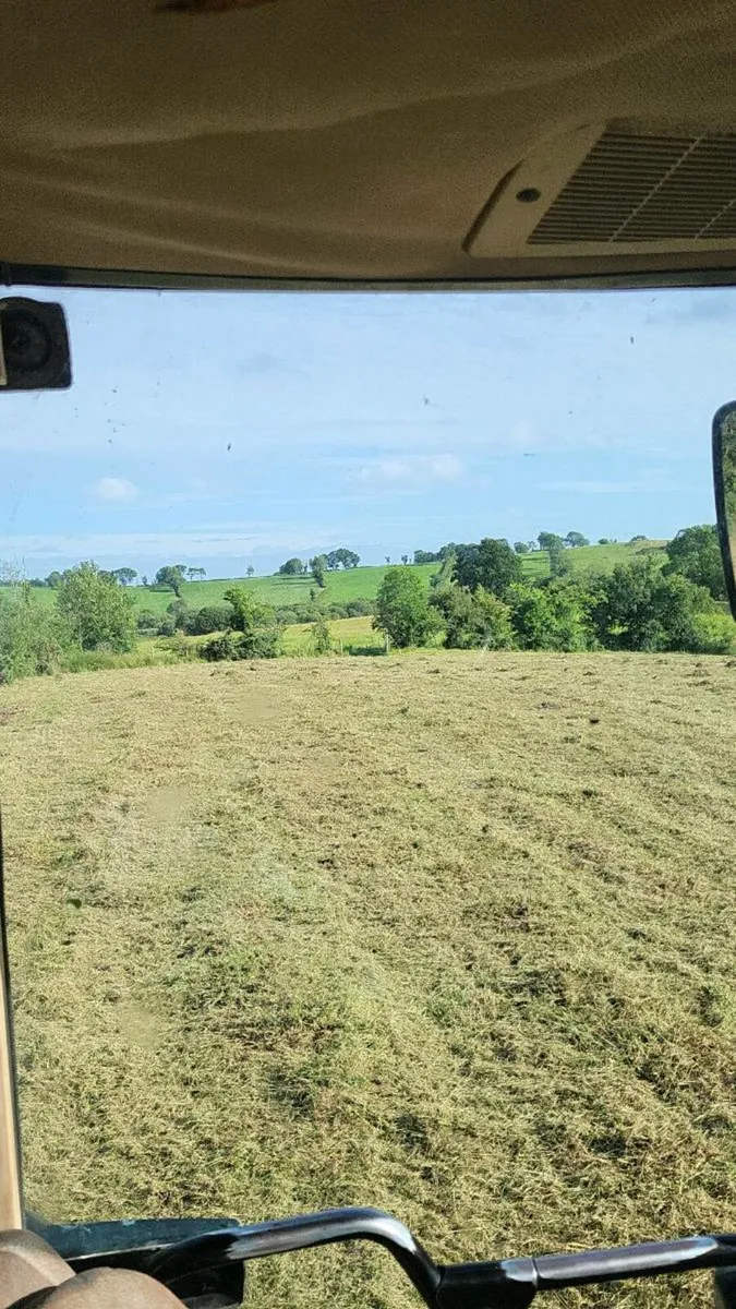 Gardening and tree work - Image 4