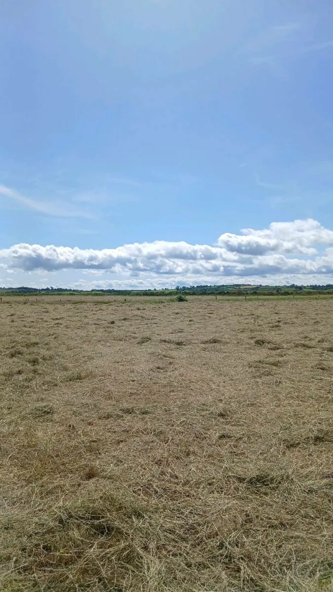 Small square bales of hay - Image 3